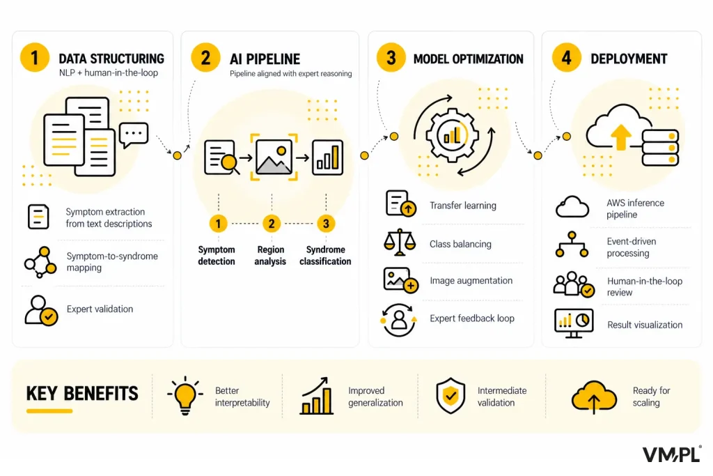 Diagram of a four-stage AI workflow: structuring symptom data, analyzing tongue images, optimizing the model, and deploying it with expert review.
